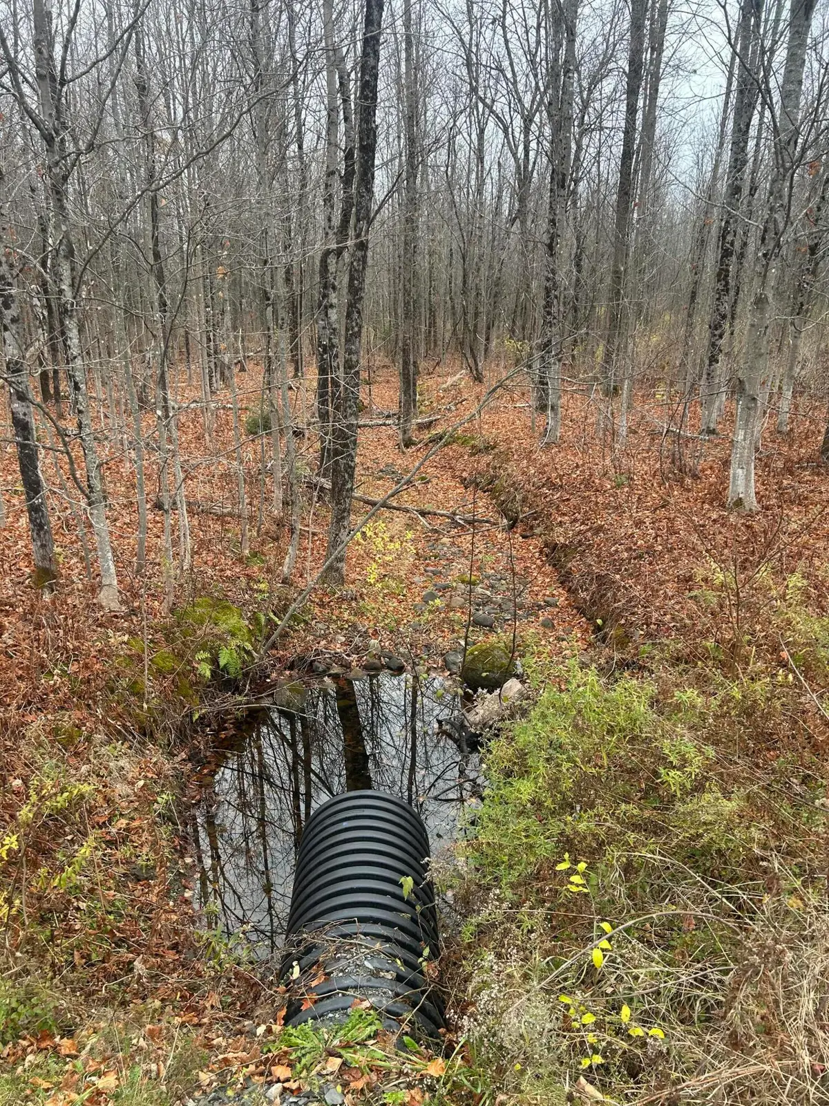 M10 L 7A Higgins Road, Pittsfield Town, ME 04922 - Image #1