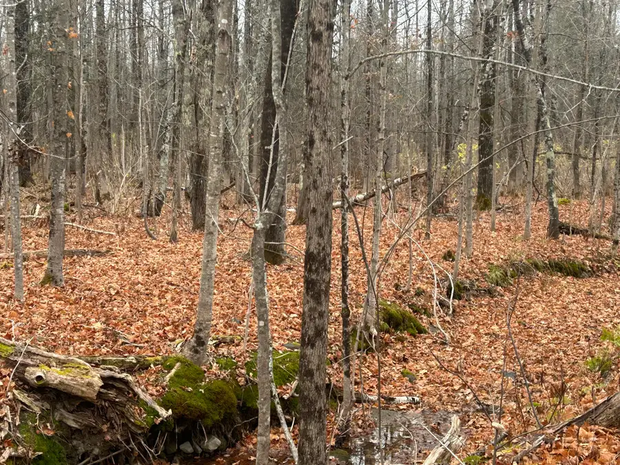M10 L 7A Higgins Road, Pittsfield Town, ME 04922 - Image #3