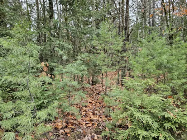 M5 L38 Winding Hill Road, Norridgewock, ME 04957