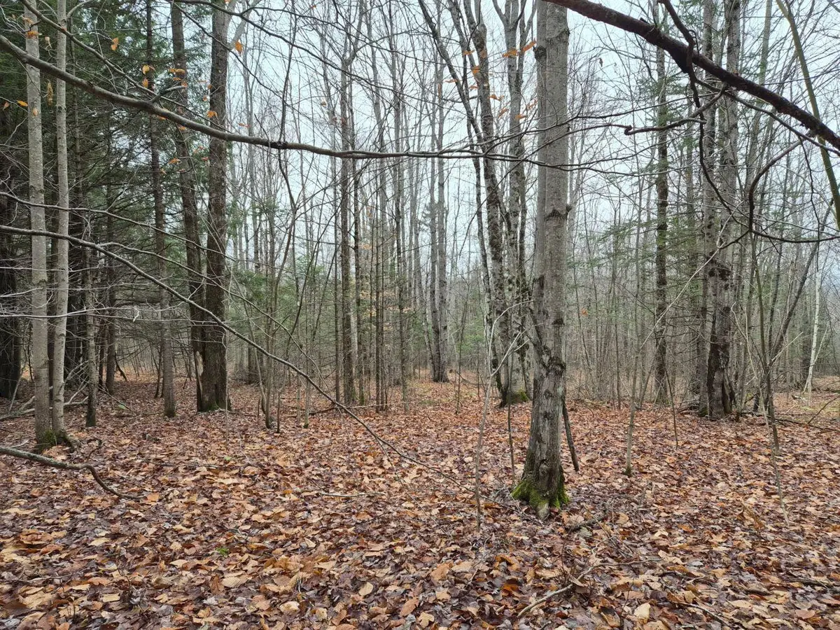 MU23 L19B Holley Road, Farmington, ME 04938 - Image #1