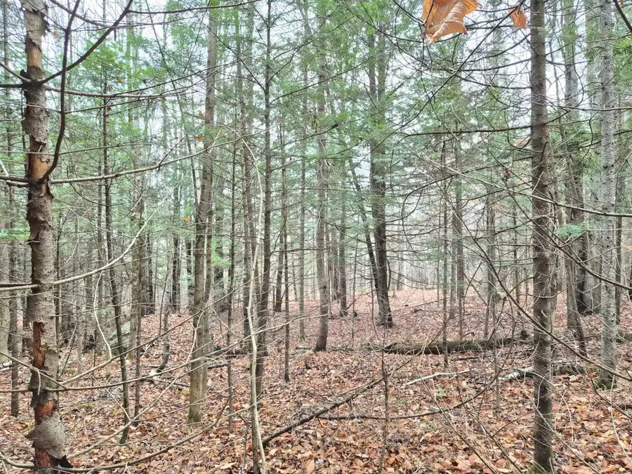 MU23 L19B Holley Road, Farmington, ME 04938 - Image #3