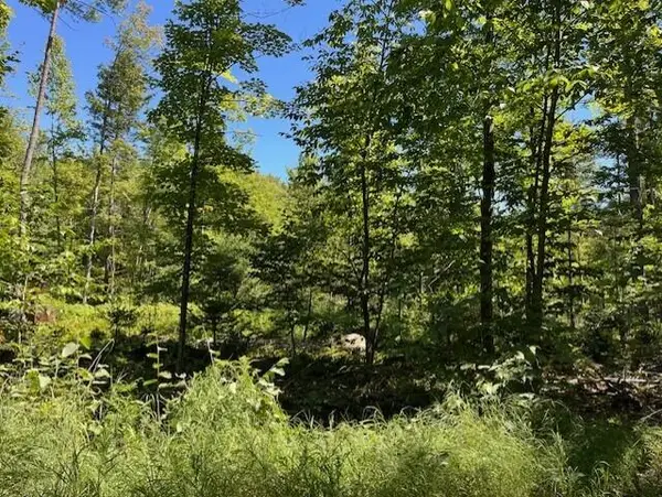 Lot 045 Sawyer Notch Road, Andover, ME 04216