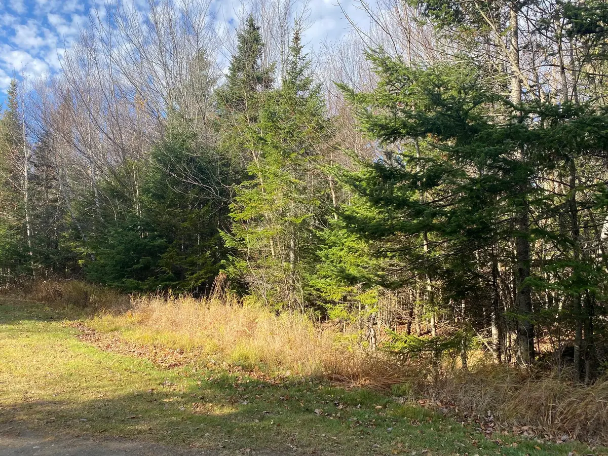Lot 16 Bear Track Lane, Tomhegan Township, ME 04478 - Image #1