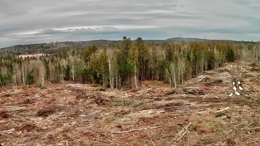 L1 Lively Brook Acres, Whiting, ME 04691 - Image #2