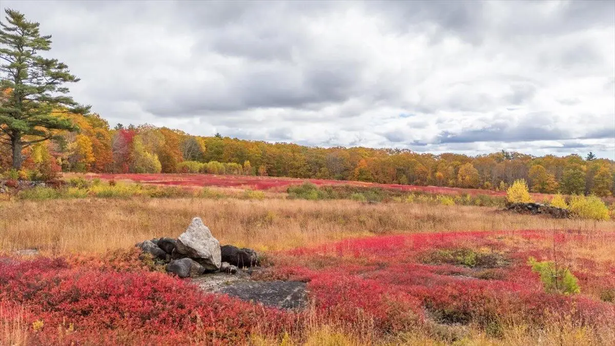 Map 4 Lot 3 Clarry Hill Lane, Union, ME 04862 - Image #1