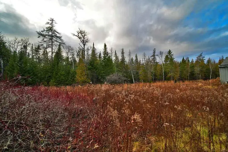 228 U.s. Route 1, Bridgewater, ME 04735 - Image #2