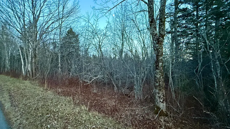 28.4 Wilcox Road, East Central Washington, ME 04652 - Image #3