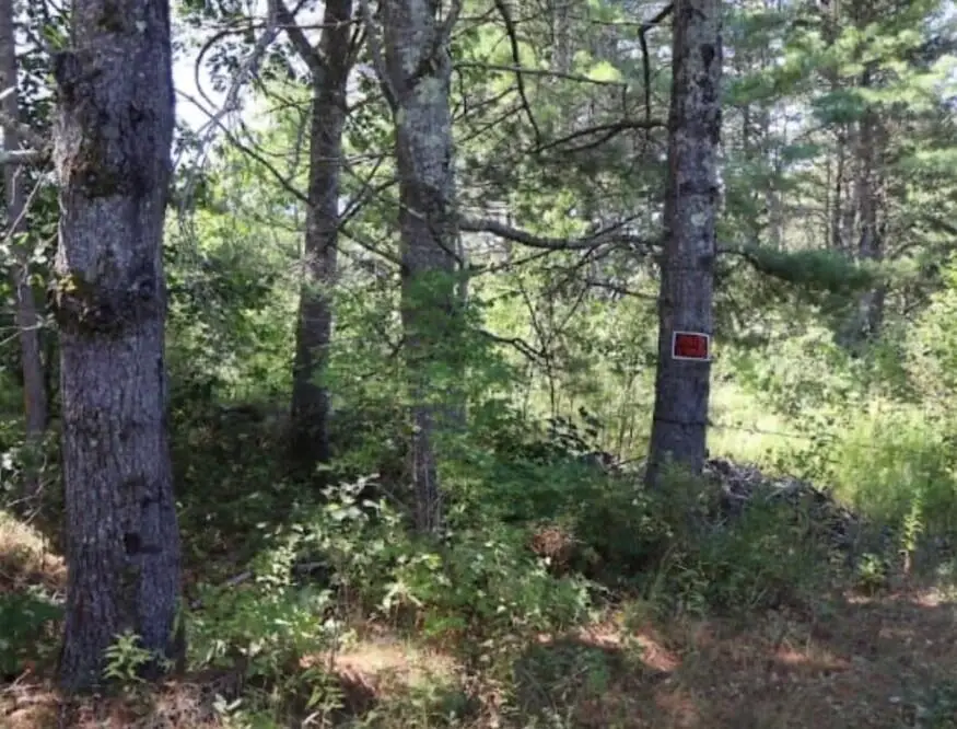 0 Beechwood Street, Warren, ME 04864 - Image #1