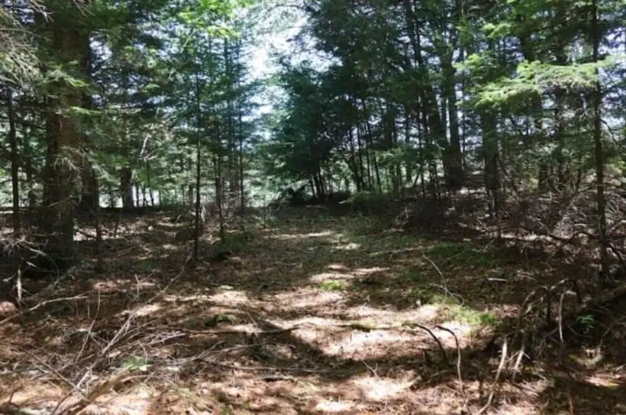 0 Beechwood Street, Warren, ME 04864 - Image #3