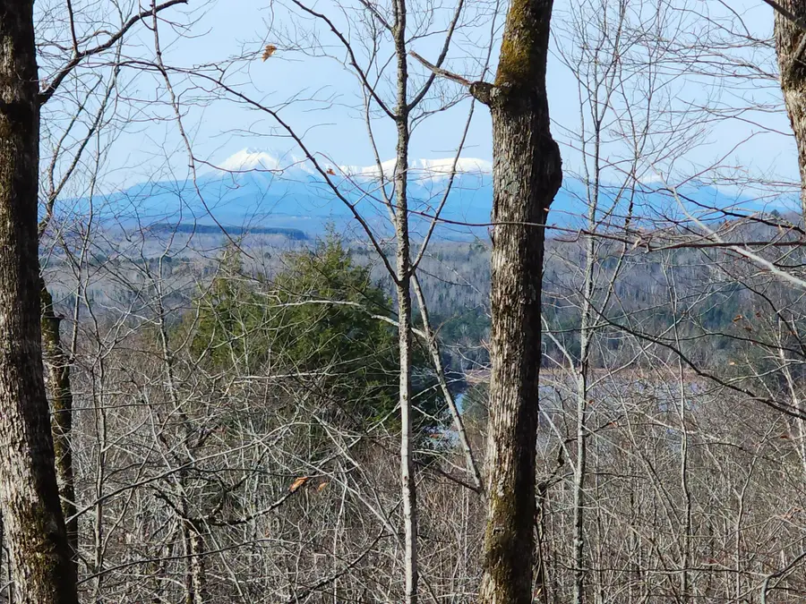 Lot 7 E Dow Farm Road, Island Falls, ME 04747 - Image #2