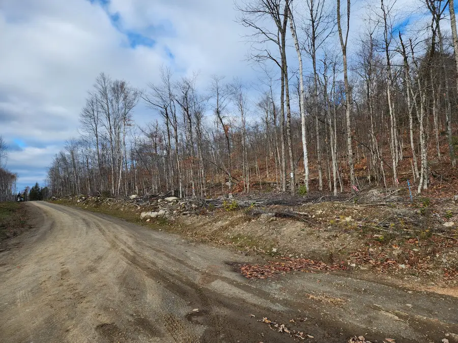 Lot 7 E Dow Farm Road, Island Falls, ME 04747 - Image #3