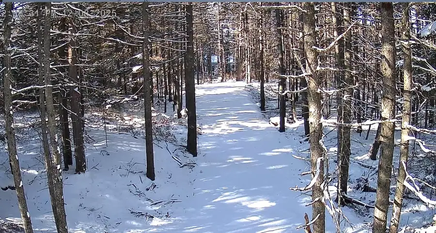 774 Spruce Head Road, Spruce Head, ME 04858 - Image #3