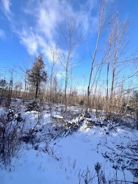 M8 P/O 1 Drews Mill Road, Linneus, ME 04730 - Image #3