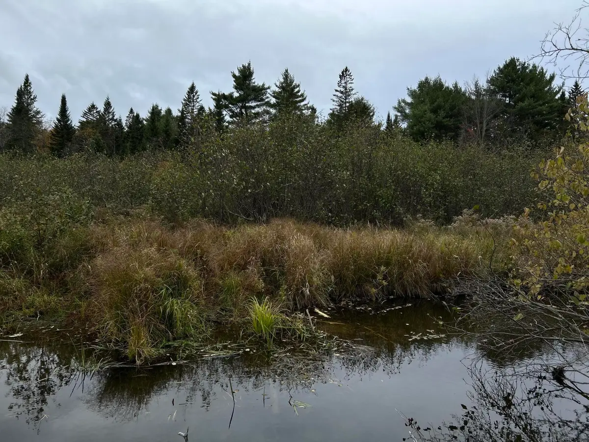 M4L18 Bog Road, Jackson, ME 04921 - Image #1