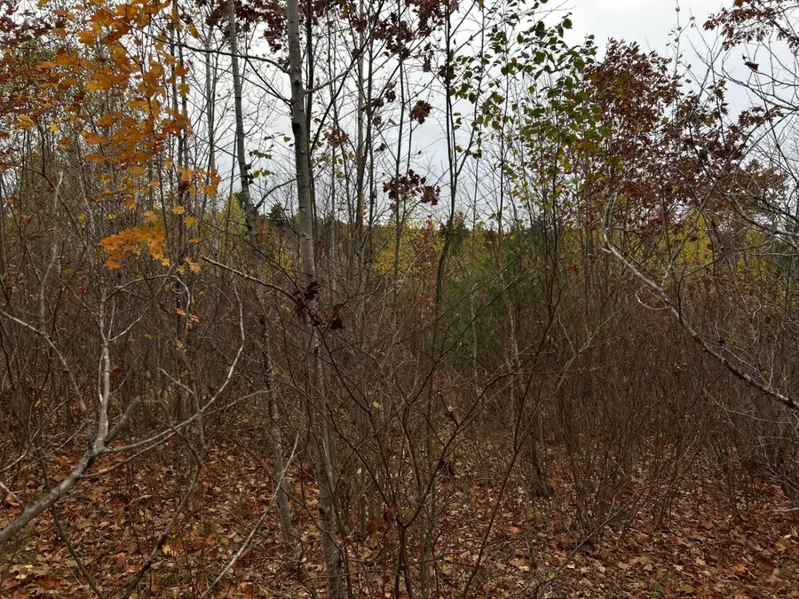 M4L18 Bog Road, Jackson, ME 04921 - Image #3