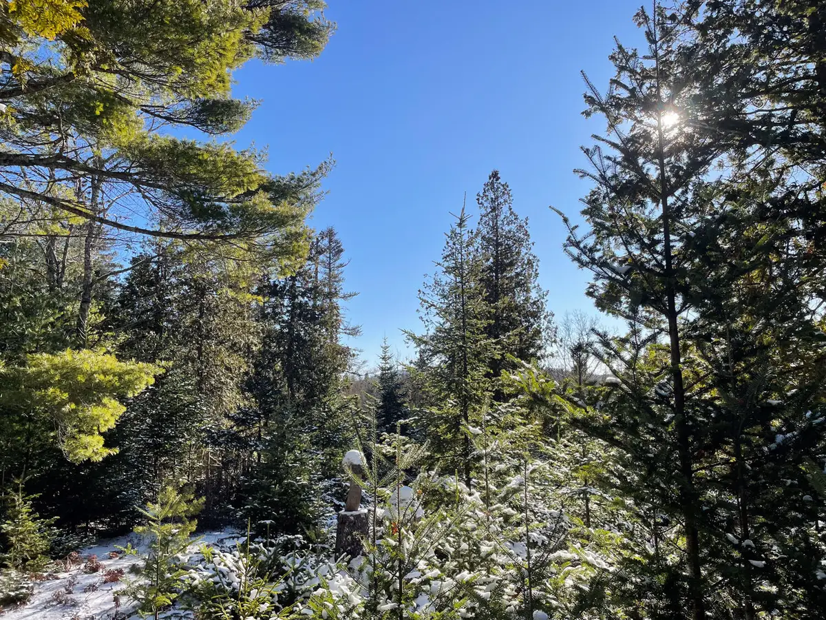 0 Juniper Ledge Road, Bar Harbor, ME 04609 - Image #1