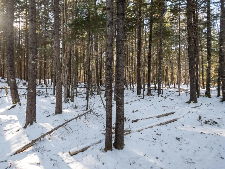 25 Long Pond Road, Southwest Harbor, ME 04679 - Image #2