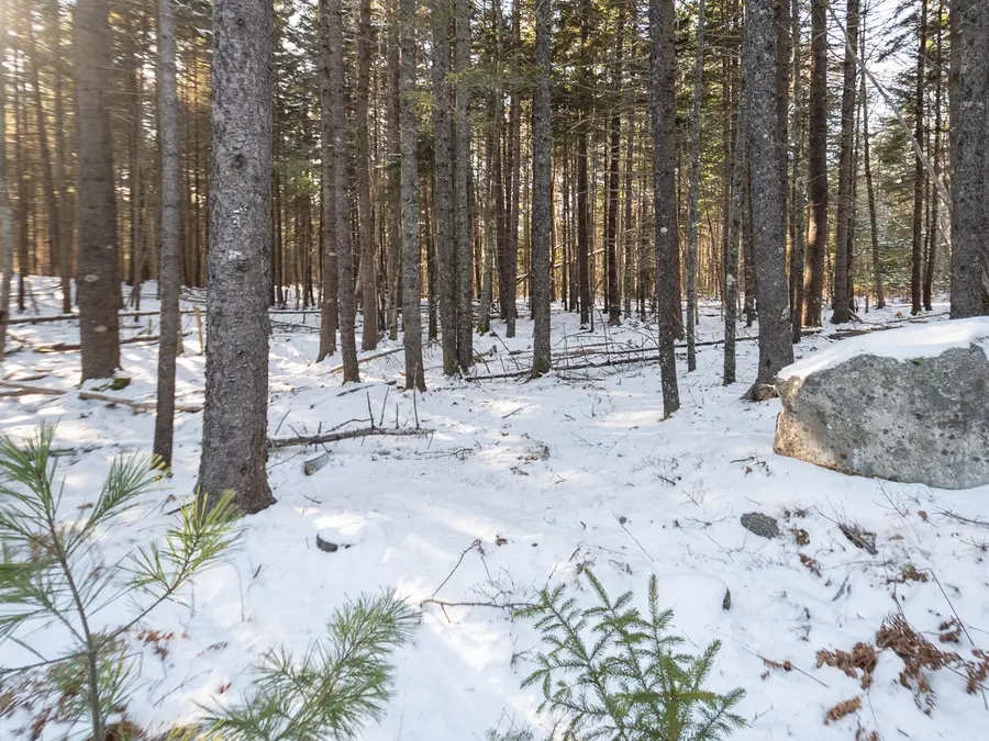 25 Long Pond Road, Southwest Harbor, ME 04679 - Image #3