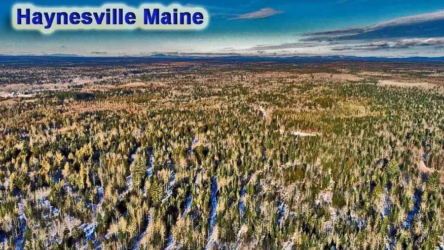 Lot 13 Denmark Road, Haynesville, ME 04497 - Image #2