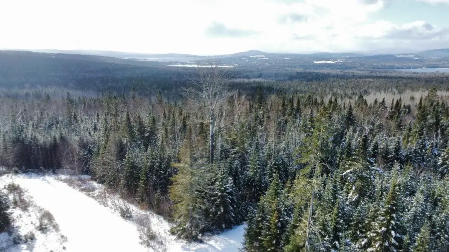 Map 4/31-A Palmer Way, Dallas Plt, ME 04970 - Image #3