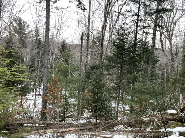 LOT# Trafton Road #LOT, Harmony, ME 04942