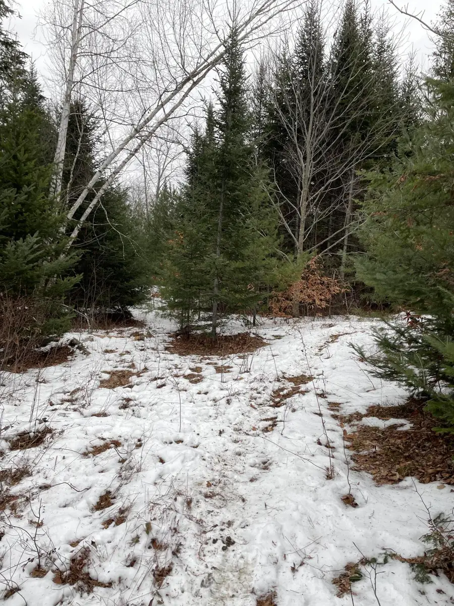 LOT# Trafton Road #LOT, Harmony, ME 04942 - Image #2