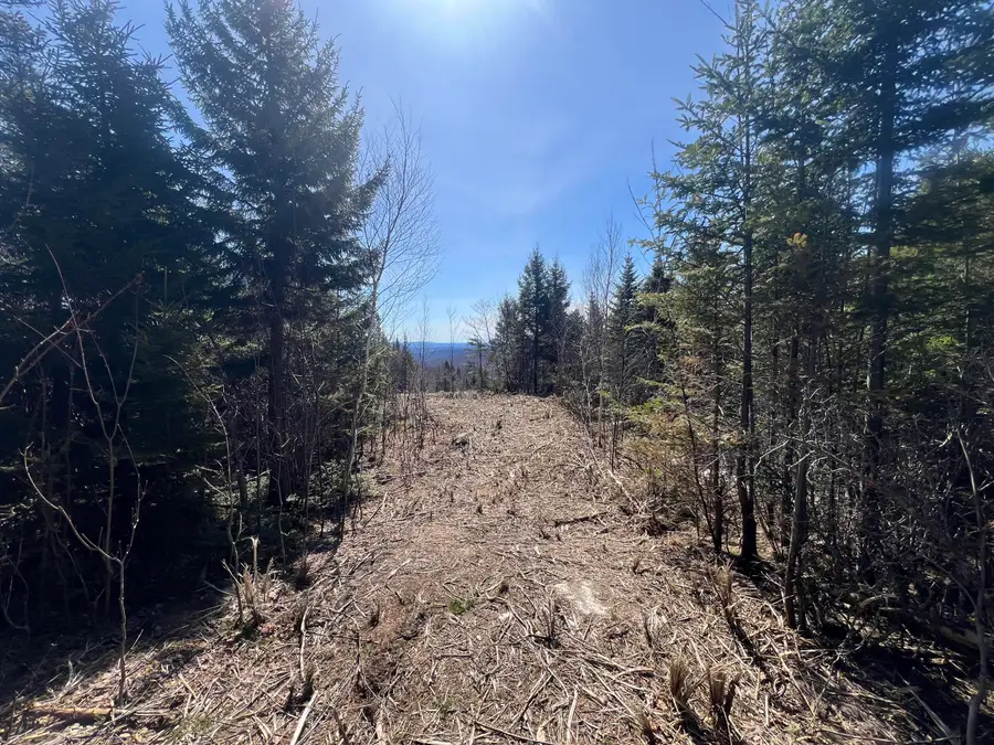 13 Moose Alley Road, Temple, ME 04984 - Image #3