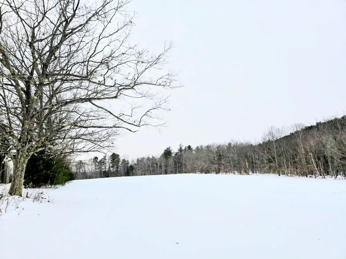 Lot 35 Moose Hill Road, Livermore Falls Town, ME 04228 - Image #1
