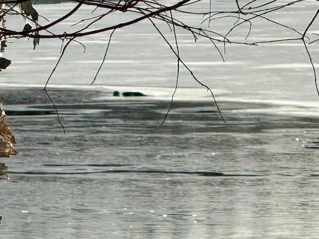 00 Red River Road, Eagle Lake Town, ME 04739 - Image #2