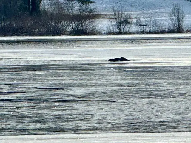 00 Red River Road, Eagle Lake Town, ME 04739 - Image #3