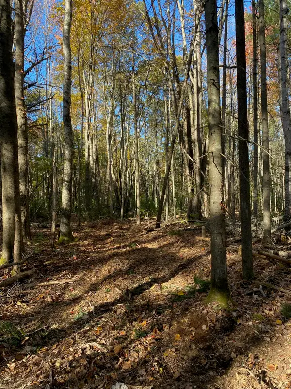 TBD Log Cabin Road, Kennebunkport, ME 04046