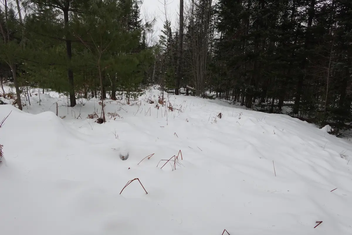 262 Bert Berry Road, Embden, ME 04958 - Image #1