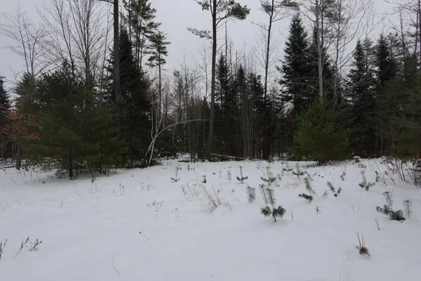 012-013-01 Bert Berry Road Road, Embden, ME 04958