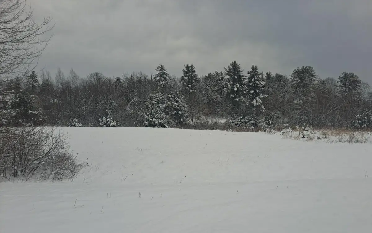 TBD Sokokis Trail & Beaver Brook Road, Limerick, ME 04048 - Image #1