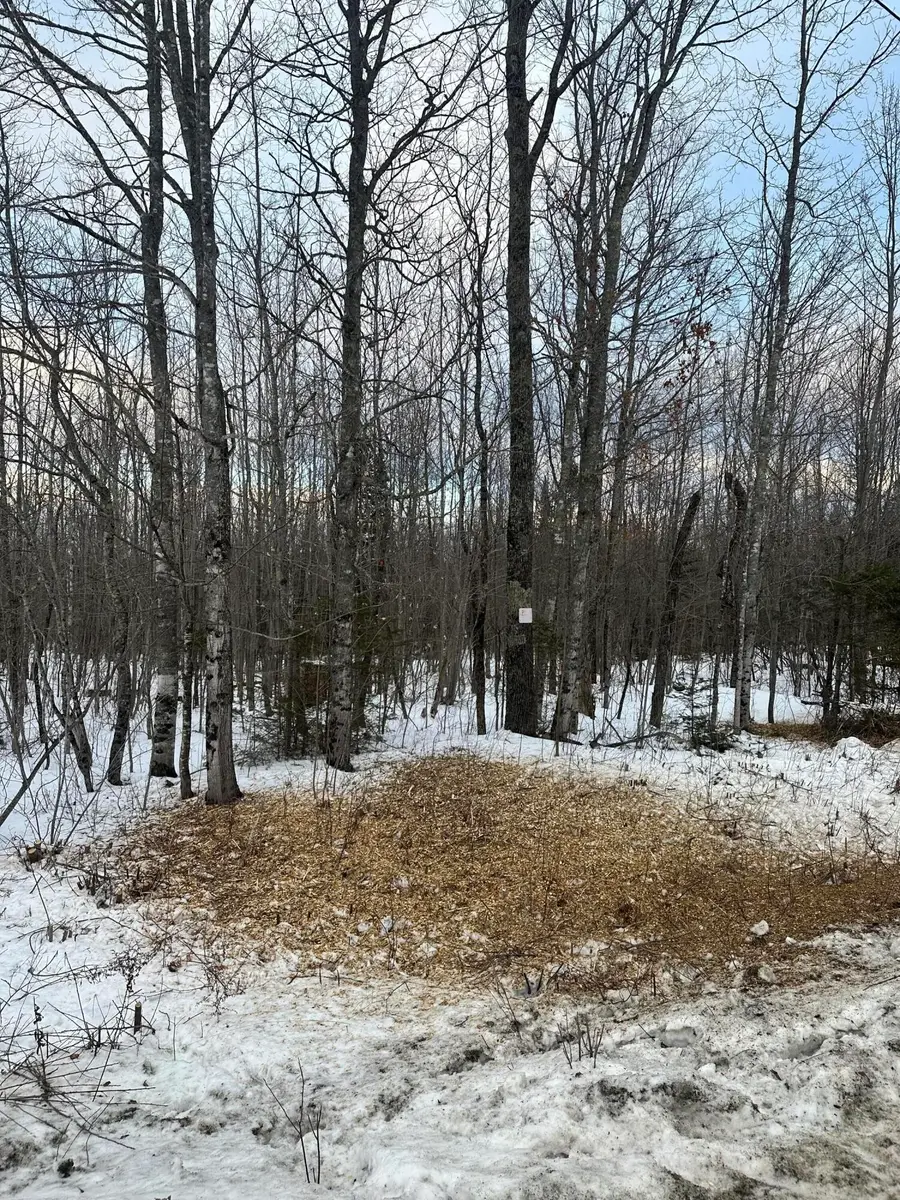 Lots 48,49 Middle Road, Bradford, ME 04410 - Image #2