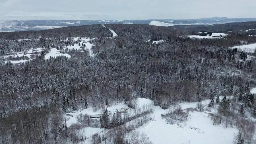 M28 Lot 26 Pelletier Road, Madawaska, ME 04756 - Image #3