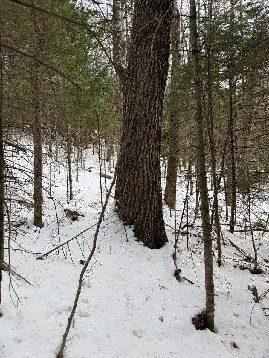 1088 Center Drive, Orrington, ME 04474 - Image #3