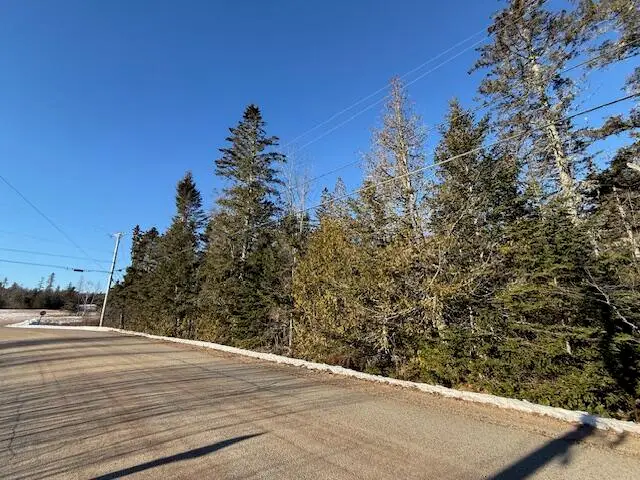 Lot 31 Gin Cove Road, Perry, ME 04667 - Image #3