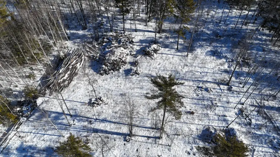Map17Lot53 Grant Road, Orono, ME 04473 - Image #3