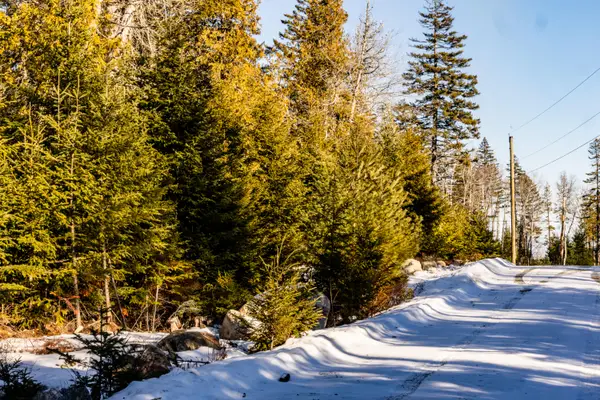 Lot 10 4R2 Pine Cone Lane, Surry, ME 04684