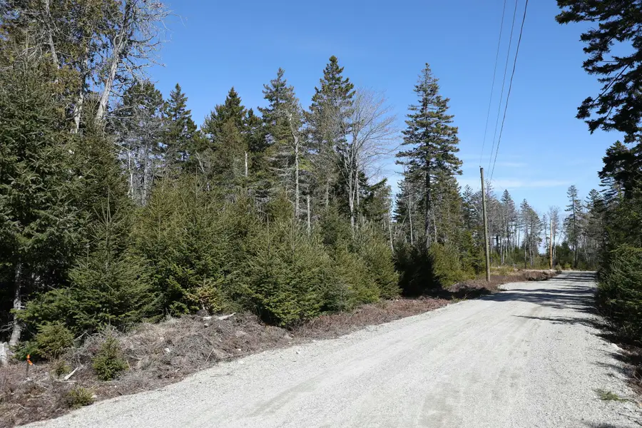 Lot 10 4R2 Pine Cone Lane, Surry, ME 04684 - Image #2