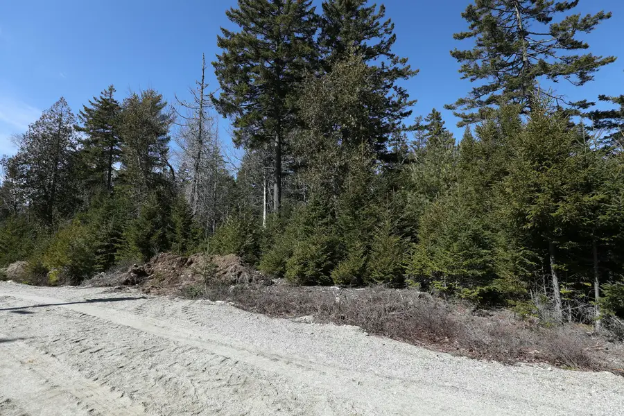 Lot 10 4R2 Pine Cone Lane, Surry, ME 04684 - Image #3