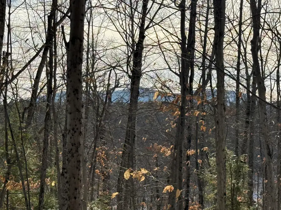 Lot 15-3A Sweden Road, Bridgton, ME 04009 - Image #2