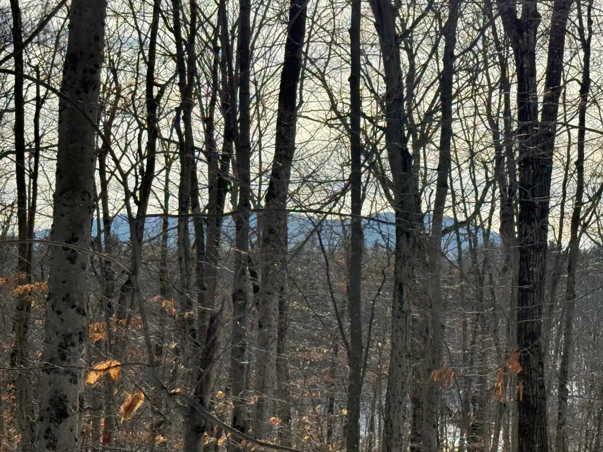 Lot 15-3B Sweden Road, Bridgton, ME 04009 - Image #1