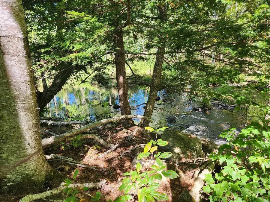 28 Cemetery Road, Montville, ME 04941 - Image #3