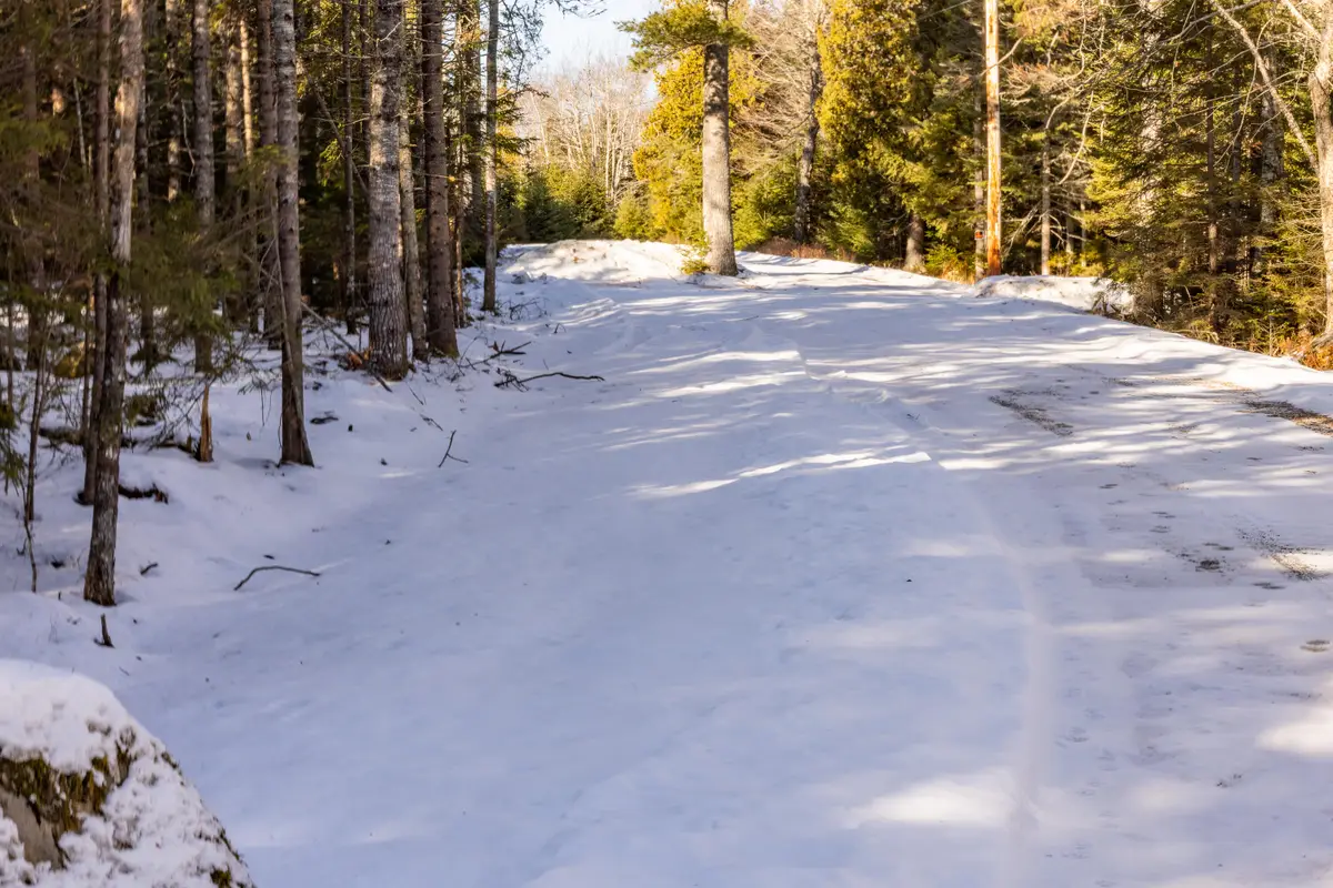 10-4M Forest Hill, Surry, ME 04684 - Image #1