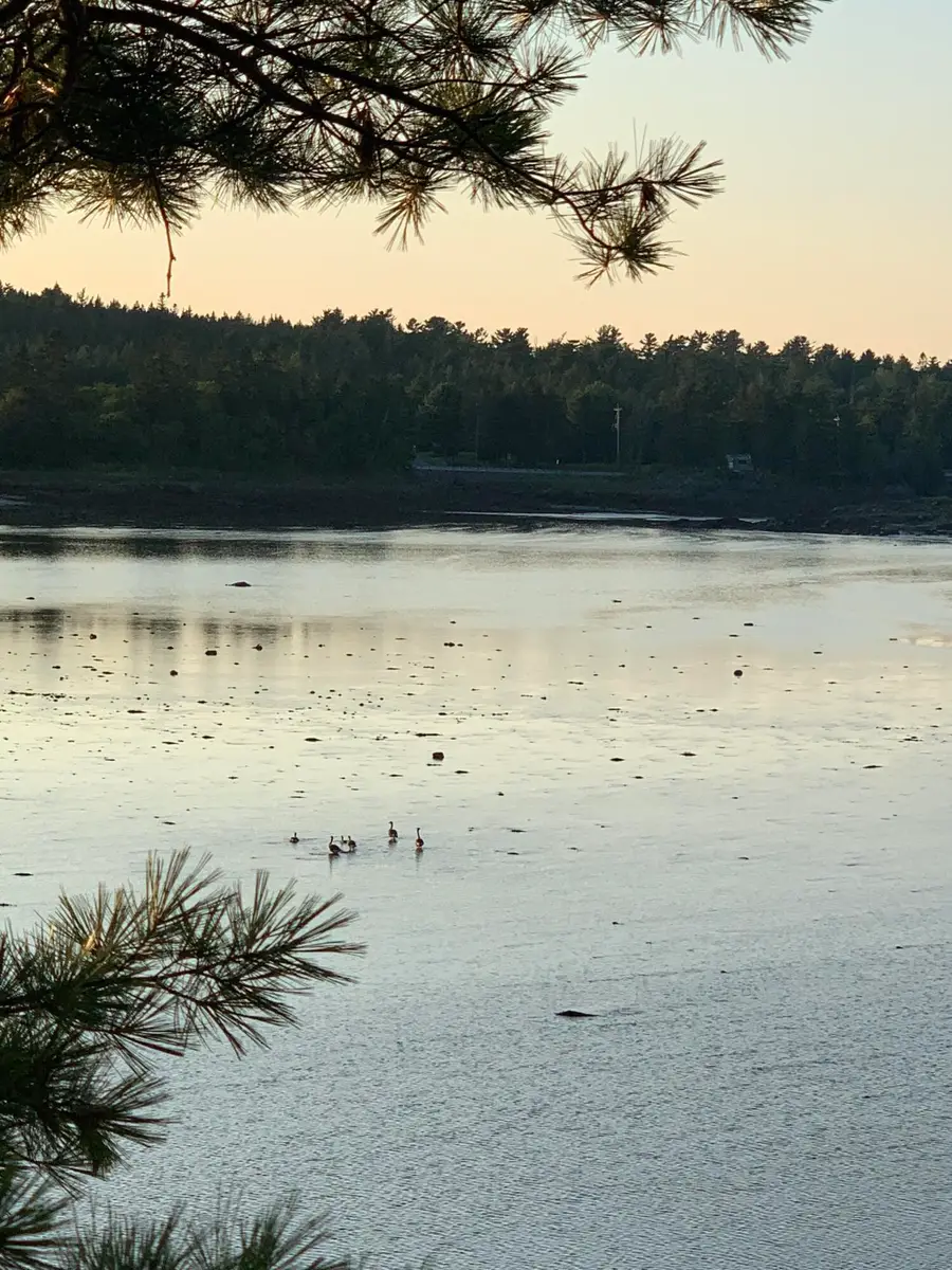 31 Luna Lane, East Central Washington, ME 04652 - Image #2