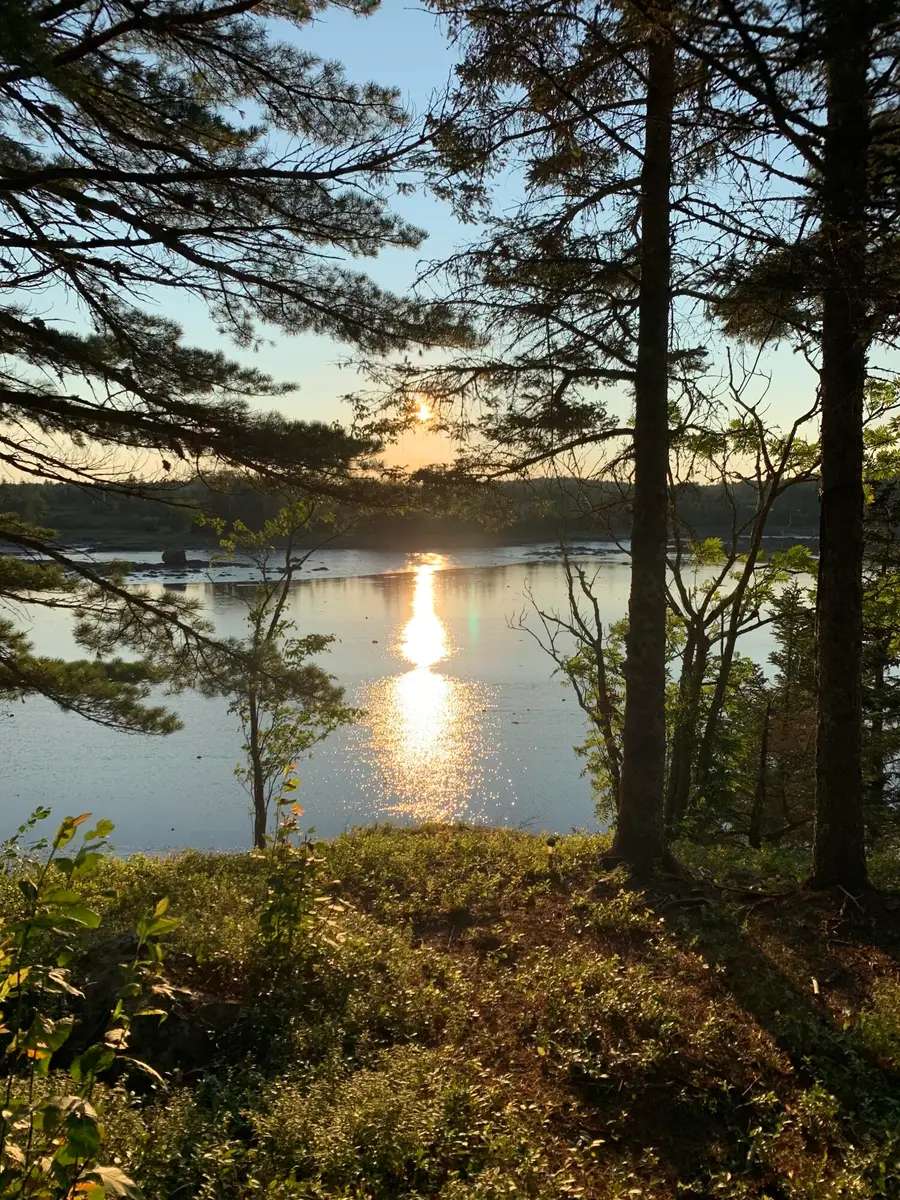 31 Luna Lane, East Central Washington, ME 04652 - Image #3