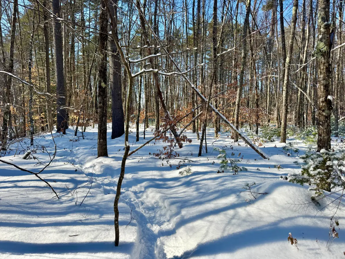 TBD Swans Falls Road #Lot B, Fryeburg, ME 04037 - Image #1