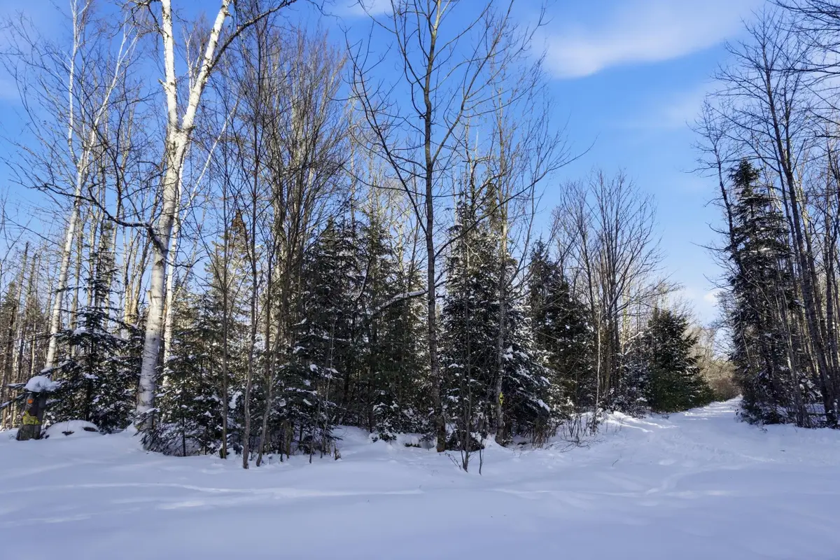 082-006 Town Farm Road, Lincoln, ME 04457 - Image #1